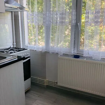 アパート Apartament In Regim *